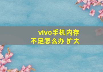 vivo手机内存不足怎么办 扩大